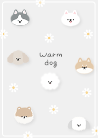 Spring warm dog 01_2