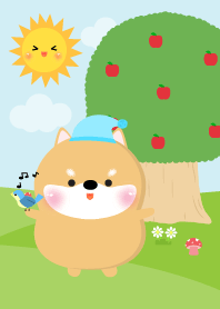 Cute Poklok Shiba Inu Theme
