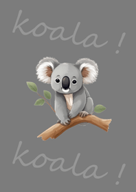 바라보다!코알라예요!(포그 그레이)