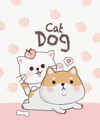Dog and Cat Peach