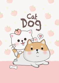 หมากับแมวน้อยน่ารัก