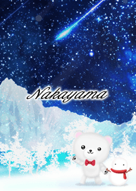 Nakayama Polar bear winter night sky