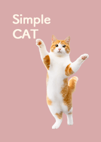 Simple CAT - Dull pink