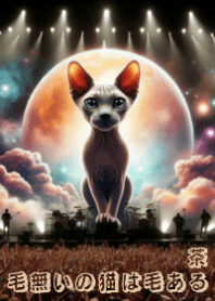 ニャーのライブ⑥_茶☆毛無いの猫は毛ある
