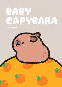 Sleep BabyCapybara Light 2023 LET'S DRAW