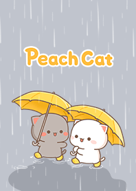 Peach Cat _Rainy Day