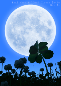 Real Moon&7Leaf Clover #2-28Not AI