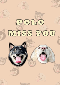 Polo&missu