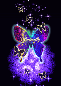 蝶の部屋#18*虹色*