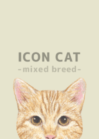 ICON CAT -Mixed breed cat- PASTEL YE/13