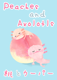 Peach & axolotl