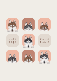 DOGS - Siberian husky - SALMON PINK