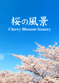 "Cherry Blossom Scenery vol.2" theme