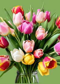 Beautiful tulips theme