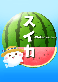 Assortment of watermelon