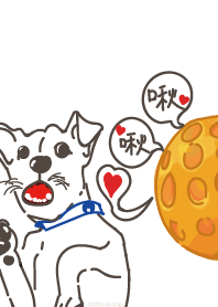 Dog and toy ball daily