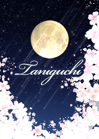 Taniguchi yozakura to tuki