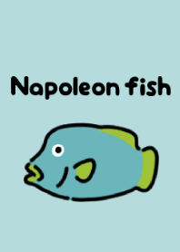 Cute napoleon fish theme
