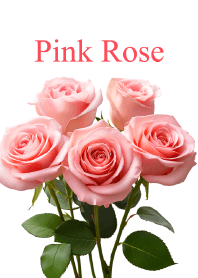 "Pink Rose vol.6" theme