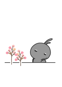 rabbit staring-118-think-01