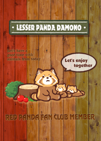 Red panda color 2