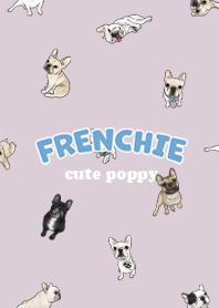 frenchie7 / taro