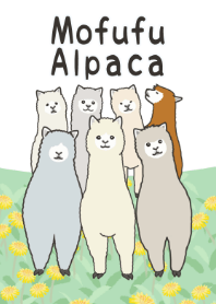 Mofufu Alpaca