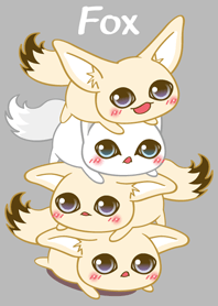 A cute predator the Fennec Fox 6