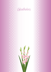 June birth flower,Gladiolus
