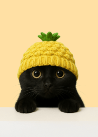 Peeking Black Cat x Pineapple Beanie#3