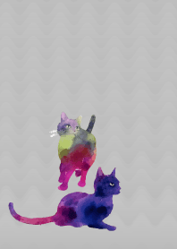 They are cats on white