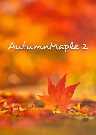 AutumnMaple 2