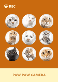 Paw Paw Camera -  Brown 09