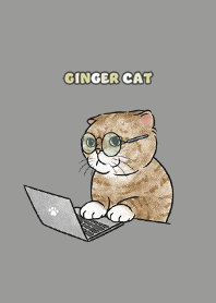 gingercat9 - dim grey