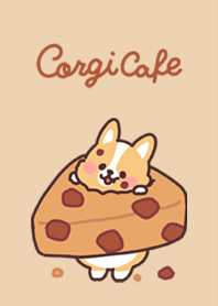 fluffy fat Corgi cafe