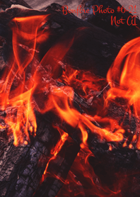 Bonfire Photo #6-21 Not AI