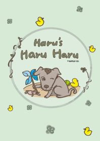 Haru's haru haru