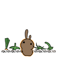 rabbit staring - vegetable hat