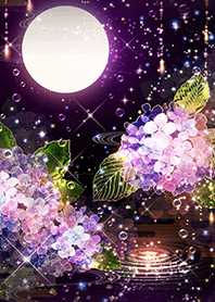 Fantastic hydrangea and moonlight
