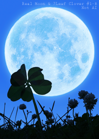 Real Moon&7Leaf Clover #1-8Not AI