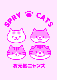 Spry Cats