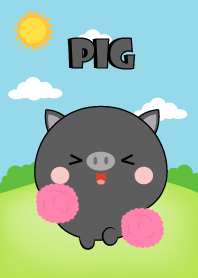 Mini Black Pig Theme