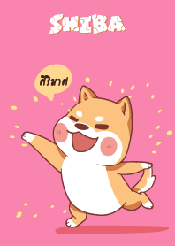 ศิริมาศ ใครไม่บะ ชิบะ 4 V04