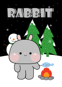 Grey Rabbit In Winter Season