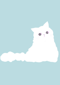 Sky white cat