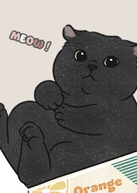 neko single18 / dark beige