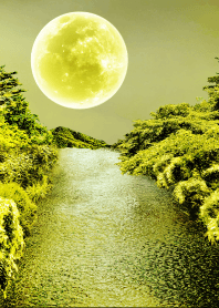 yellow moon forest