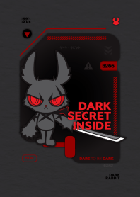 DARK RABBIT : SECRET