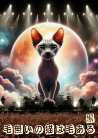 Meow's concert6_d-Hairless Cat has FurJP