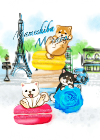macaron mame shiba dog3 (Paris)